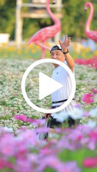 BIB:  <button type="button" onclick="openModal(27583062)" class="btn btn-primary btn-sm float-right" data-toggle="modal" data-target=".modal-high-quality">
                <i class="fa fa-download"></i> Download
                </button>